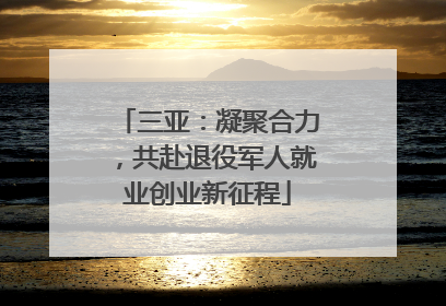 三亚：凝聚合力，共赴退役军人就业创业新征程