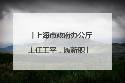 上海市政府办公厅主任王平，履新职