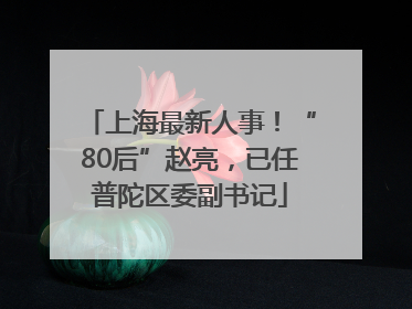 上海最新人事！“80后”赵亮，已任普陀区委副书记