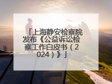 上海静安检察院发布《公益诉讼检察工作白皮书（2024）》