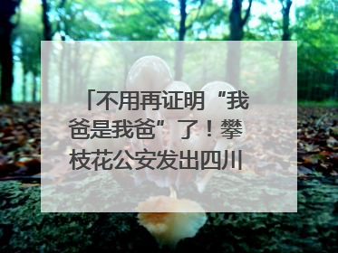 不用再证明“我爸是我爸”了！攀枝花公安发出四川首张“户籍人口直系亲属关系谱”