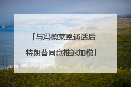 与冯德莱恩通话后 特朗普同意推迟加税