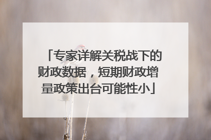 专家详解关税战下的财政数据，短期财政增量政策出台可能性小