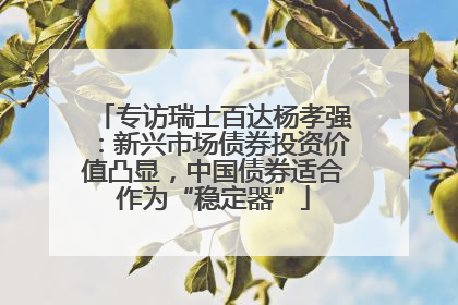 专访瑞士百达杨孝强：新兴市场债券投资价值凸显，中国债券适合作为“稳定器”