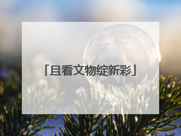 且看文物绽新彩