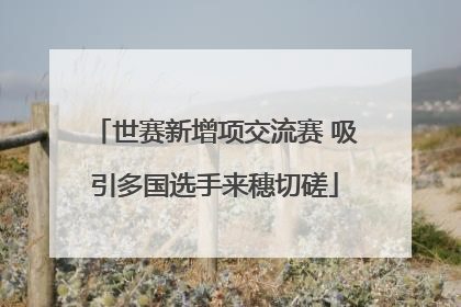 世赛新增项交流赛 吸引多国选手来穗切磋