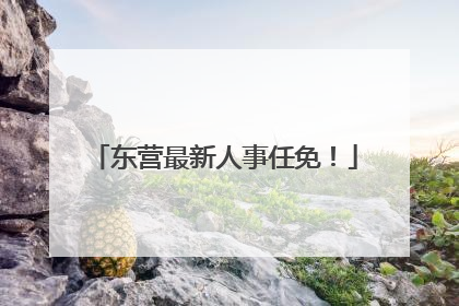 东营最新人事任免！