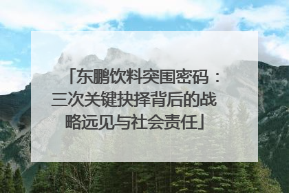 东鹏饮料突围密码：三次关键抉择背后的战略远见与社会责任