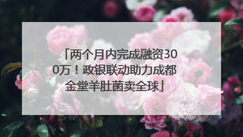 两个月内完成融资300万！政银联动助力成都金堂羊肚菌卖全球