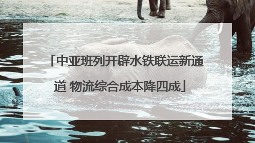 中亚班列开辟水铁联运新通道 物流综合成本降四成