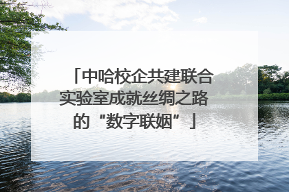 中哈校企共建联合实验室成就丝绸之路的“数字联姻”