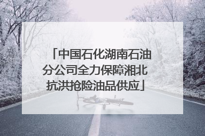 中国石化湖南石油分公司全力保障湘北抗洪抢险油品供应