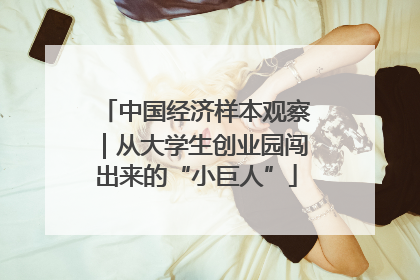 中国经济样本观察｜从大学生创业园闯出来的“小巨人”