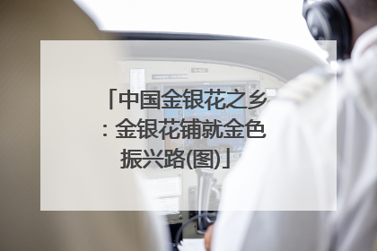 中国金银花之乡：金银花铺就金色振兴路(图)