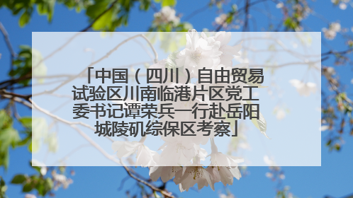 中国（四川）自由贸易试验区川南临港片区党工委书记谭荣兵一行赴岳阳城陵矶综保区考察