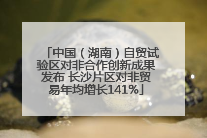 中国（湖南）自贸试验区对非合作创新成果发布 长沙片区对非贸易年均增长141%