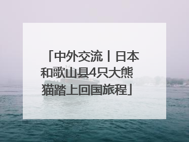中外交流丨日本和歌山县4只大熊猫踏上回国旅程