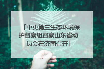 中央第三生态环境保护督察组督察山东省动员会在济南召开