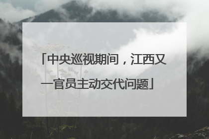 中央巡视期间，江西又一官员主动交代问题