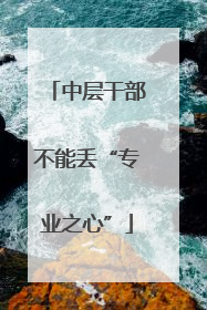 中层干部不能丢“专业之心”