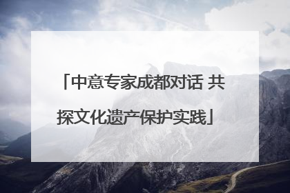 中意专家成都对话 共探文化遗产保护实践
