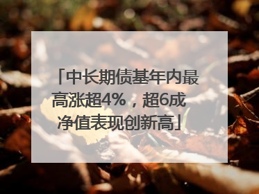 中长期债基年内最高涨超4%，超6成净值表现创新高