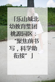乐山城北幼教育集团桃源园区：“聚焦前书写，科学助衔接”