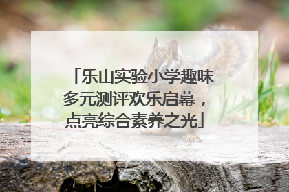 乐山实验小学趣味多元测评欢乐启幕，点亮综合素养之光