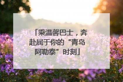 乘温馨巴士，奔赴属于你的“青岛阿勒泰”时刻