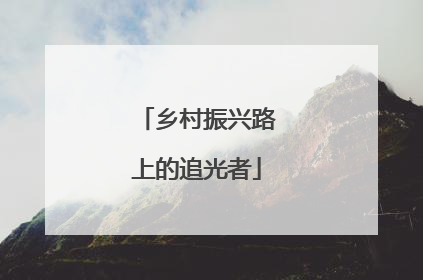 乡村振兴路上的追光者