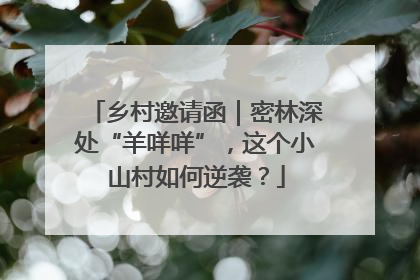 乡村邀请函｜密林深处“羊咩咩”，这个小山村如何逆袭？
