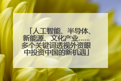 人工智能、半导体、新能源、文化产业……多个关键词透视外资眼中投资中国的新机遇