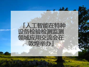 人工智能在特种设备检验检测监测领域应用交流会在敦煌举办