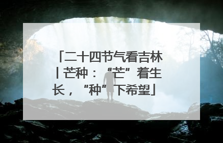 二十四节气看吉林丨芒种：“芒”着生长，“种”下希望