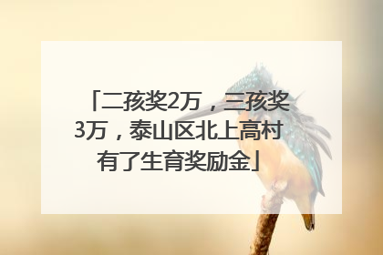 二孩奖2万，三孩奖3万，泰山区北上高村有了生育奖励金