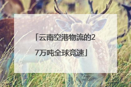 云南空港物流的27万吨全球竞速