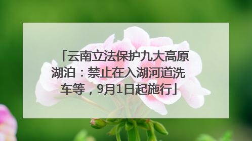 云南立法保护九大高原湖泊：禁止在入湖河道洗车等，9月1日起施行