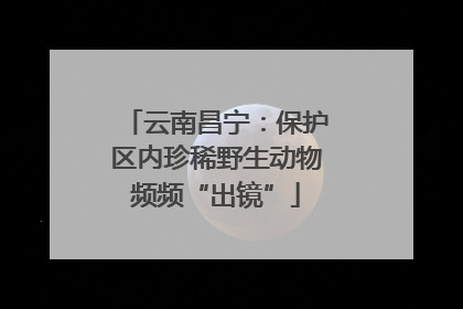 云南昌宁：保护区内珍稀野生动物频频“出镜”