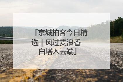 京城拍客今日精选｜风过麦浪香 白塔入云端