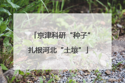 京津科研“种子”扎根河北“土壤”