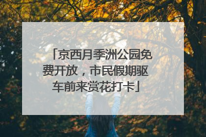 京西月季洲公园免费开放，市民假期驱车前来赏花打卡