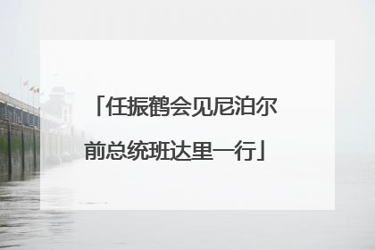 任振鹤会见尼泊尔前总统班达里一行