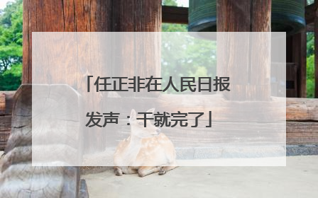 任正非在人民日报发声：干就完了
