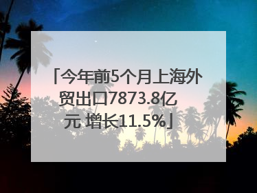 今年前5个月上海外贸出口7873.8亿元 增长11.5%