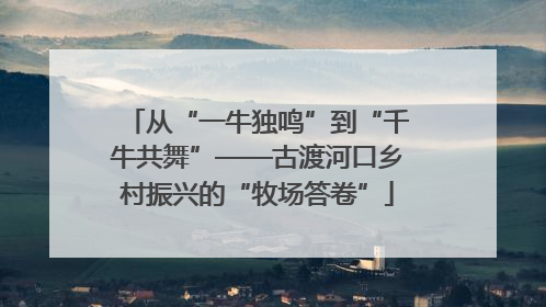 从“一牛独鸣”到“千牛共舞”——古渡河口乡村振兴的“牧场答卷”