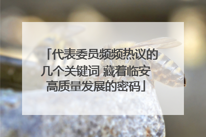 代表委员频频热议的几个关键词 藏着临安高质量发展的密码