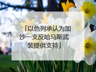 以色列承认为加沙一支反哈马斯武装提供支持