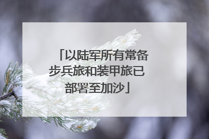 以陆军所有常备步兵旅和装甲旅已部署至加沙