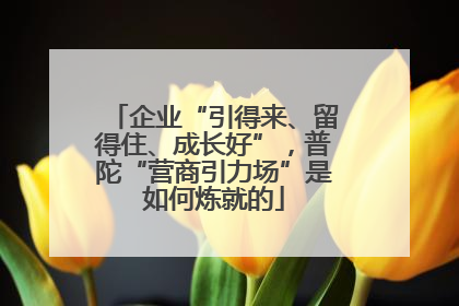 企业“引得来、留得住、成长好”，普陀“营商引力场”是如何炼就的