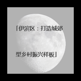 伊滨区：打造城郊型乡村振兴样板